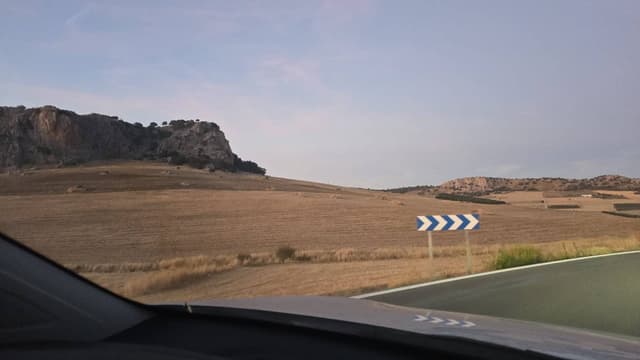 Photo 2 by Gustavo R. (10/7/24)