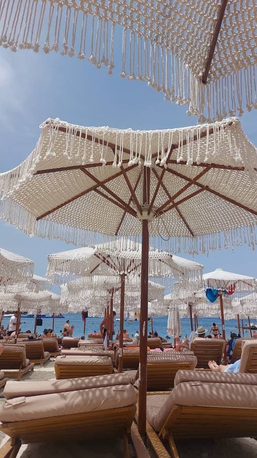 Photo 2 by Barbara F. about hiring a Dacia Sandero Stepway in Tirana (03/07/24)