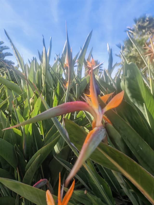 Photo 2 by Mohommed M. about hiring a MG 3 at Tangier Airport (31/10/25)