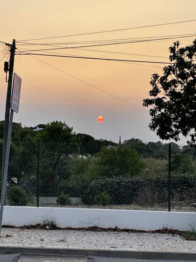 Photo 3 by Alan N. (7/1/23)