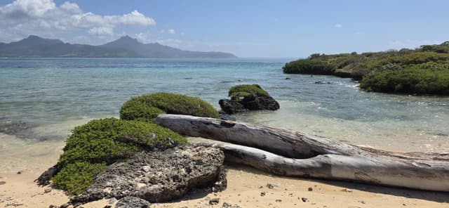 Photo 4 par CLELIA L. (02/10/25)