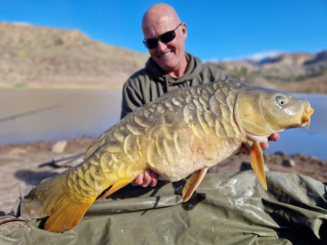 Photo 1 by Brian P. about hiring a Toyota Aygo in Gran Canaria (03.03.24)