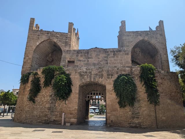 Photo 4 by Robert S. about hiring a Toyota Aygo in Majorca (18/08/25)