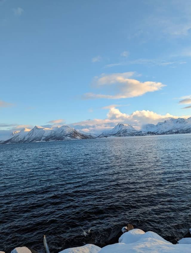 Photo 3 by Alexandru V. (2/14/24)