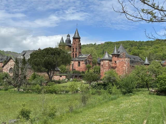 Photo 1 by Dharmasankara C. (4/27/25)