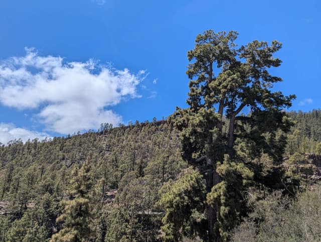 Photo 2 by Jimmy G. (3/31/25)