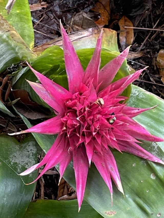 Photo 1 by Mitchell M. (3/6/25)