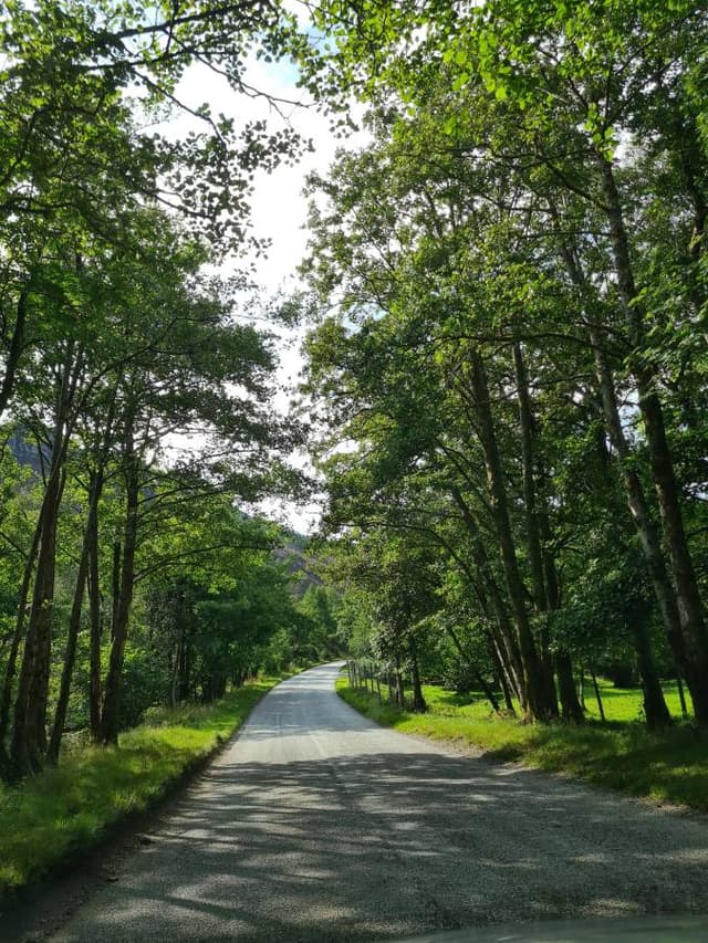 Foto 1 di Claudia A. (09/09/23)