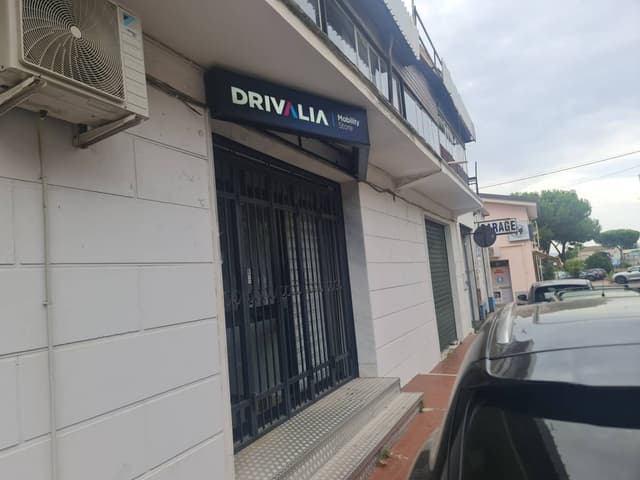 Photo by Marcin T. (8/11/24)