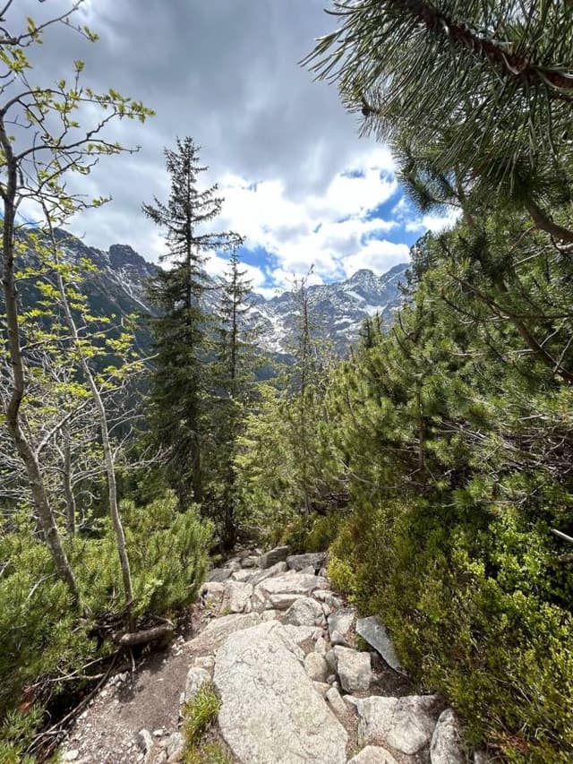 Photo 3 by Matvejs Z. (6/2/25)