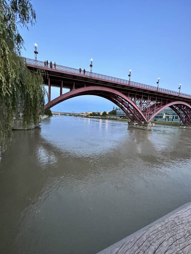 Photo by Vadim K. (8/14/23)