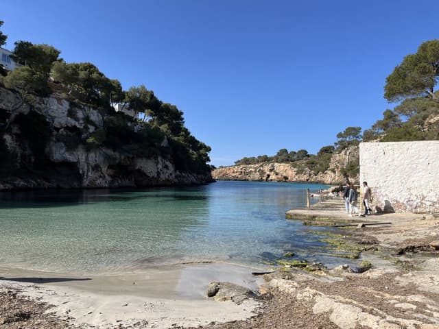 Photo 4 by Andrea M. (4/28/24)