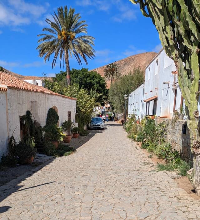 Photo 2 by Roger L. (10/13/25)