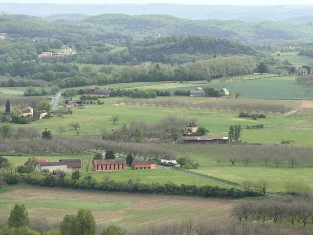 Photo 2 by Dharmasankara C. (4/27/25)