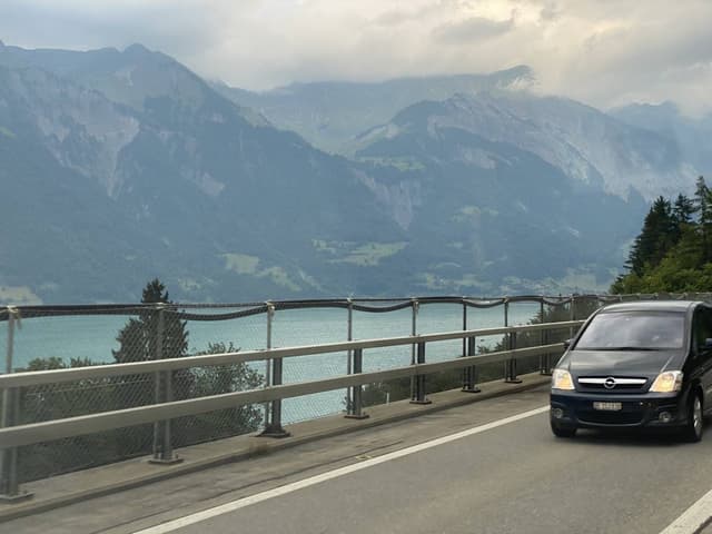 Photo by Habib A. (7/31/22)