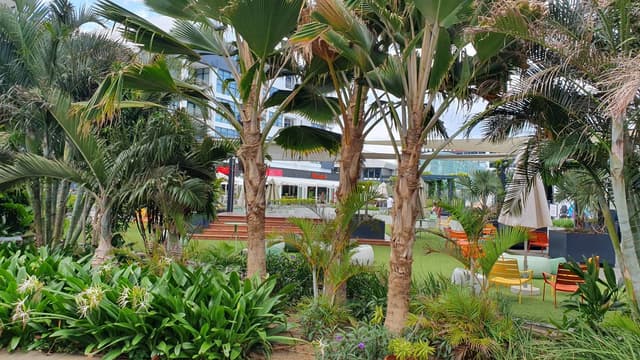 Photo 1 by Jasim H. about hiring a Toyota Aqua in Mauritius (02/11/24)