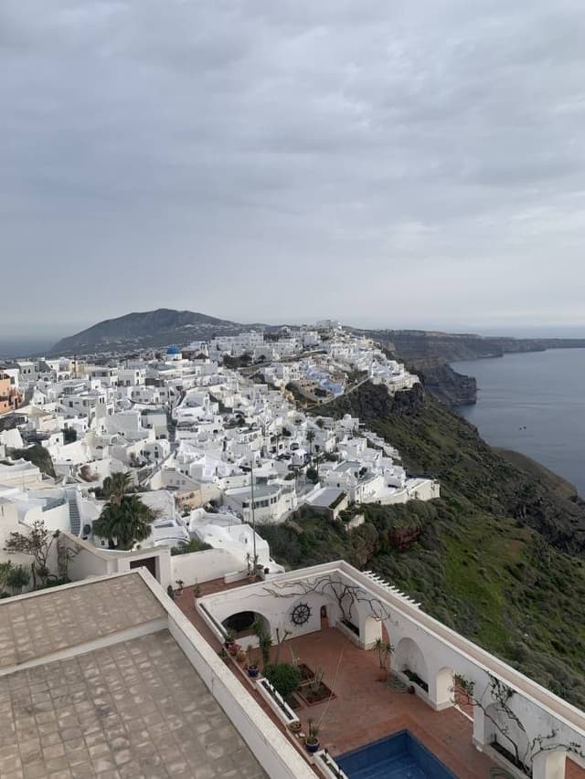 Photo 1 by Patricia R. (3/25/25)