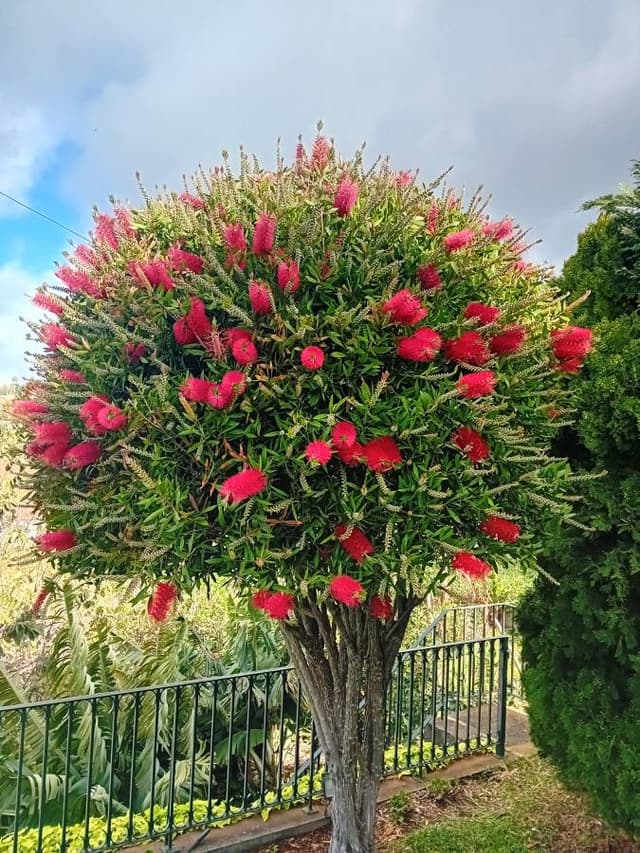 Photo 6 by christophe S. (4/13/25)