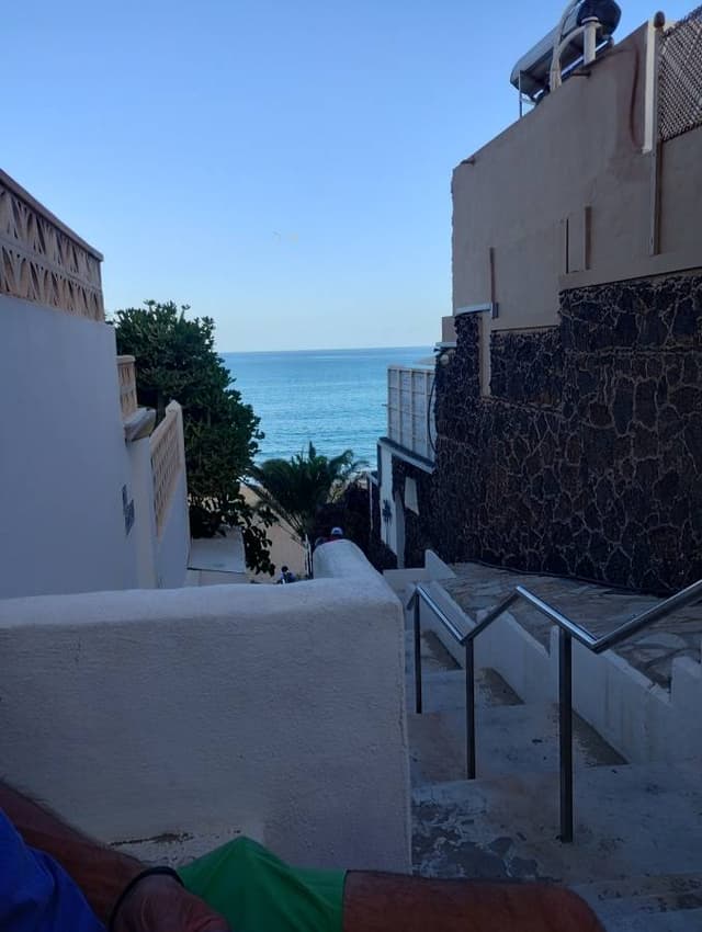 Photo 1 by Frances D. (11/22/25)