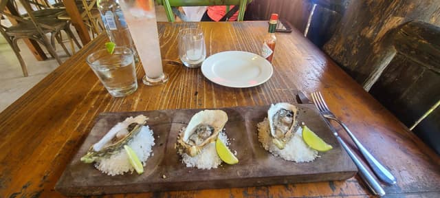 Photo 2 by Matthew S. (1/11/24)