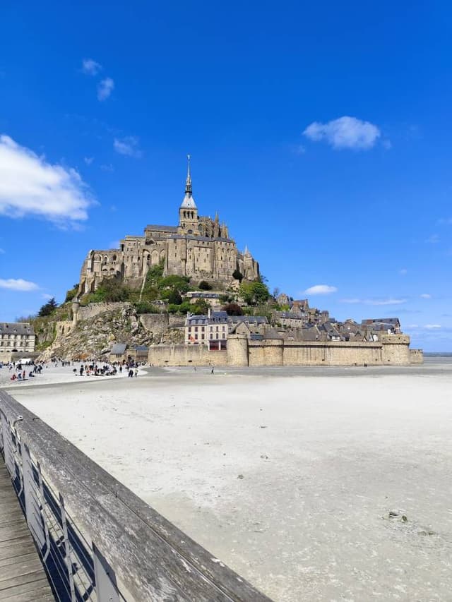 Photo 1 by Reka S. (4/24/24)