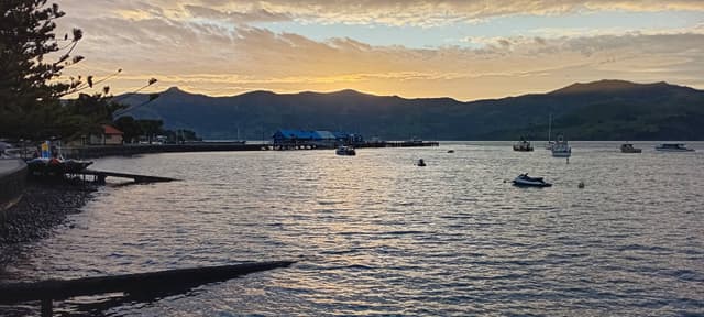 Photo 2 by suzanne C. (11/11/25)