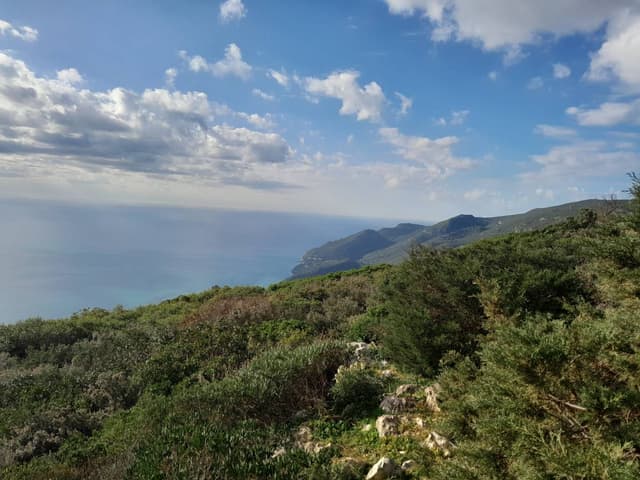 Zdjęcie 2 wykonane przez Ewa W. (4.01.25)