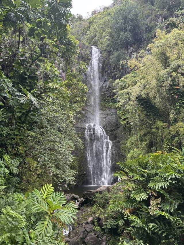 Photo 3 by YINGRU G. (5/20/25)