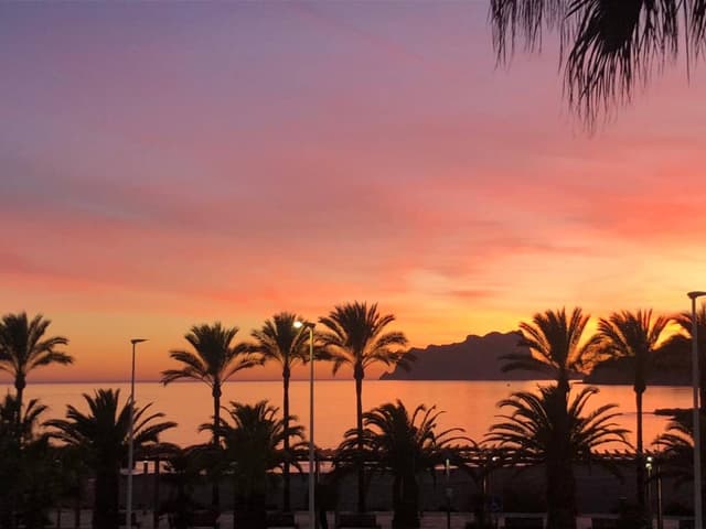 Photo by Hans D. about renting a Peugeot 2008 in Alicante (2/18/24)