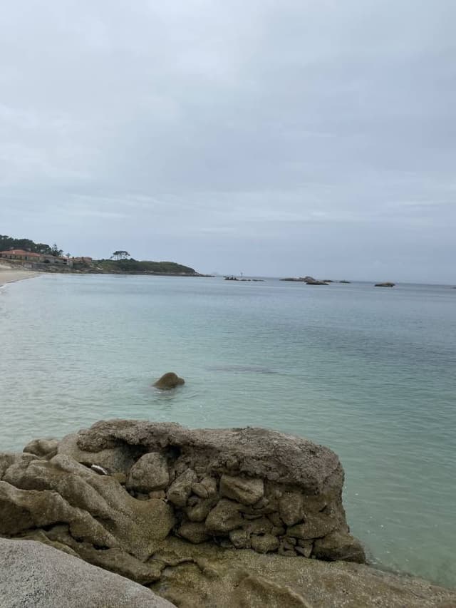 Photo 3 by WILMER L. (6/18/24)