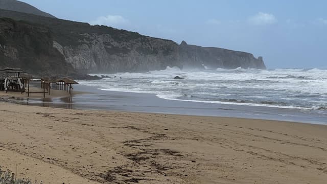 Photo 2 by Tom J. (8/9/23)