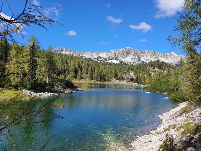 Photo 3 by Ah Ker K. (12/13/23)