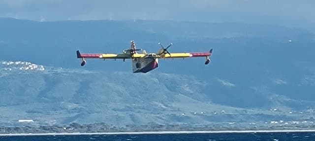 Photo 1 by Ivor C. (9/18/25)