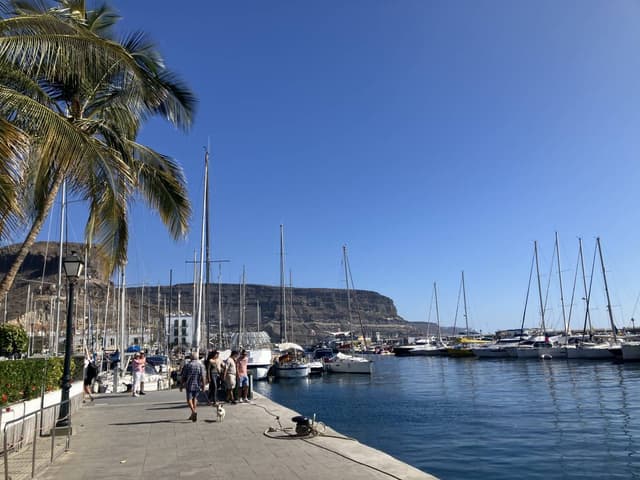 Photo 5 by Sylvie S. about renting a Seat Ibiza in Gran Canaria (1/19/25)