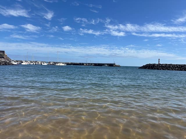 Photo 6 by Monica N. (2/24/25)