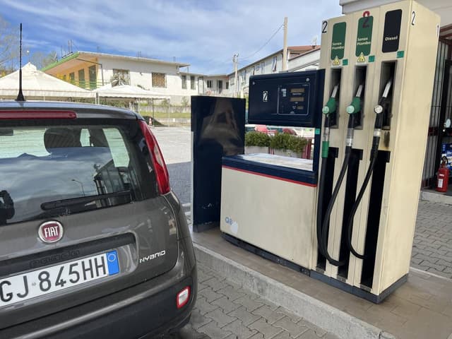 Photo 3 by Robert P. (4/2/24)