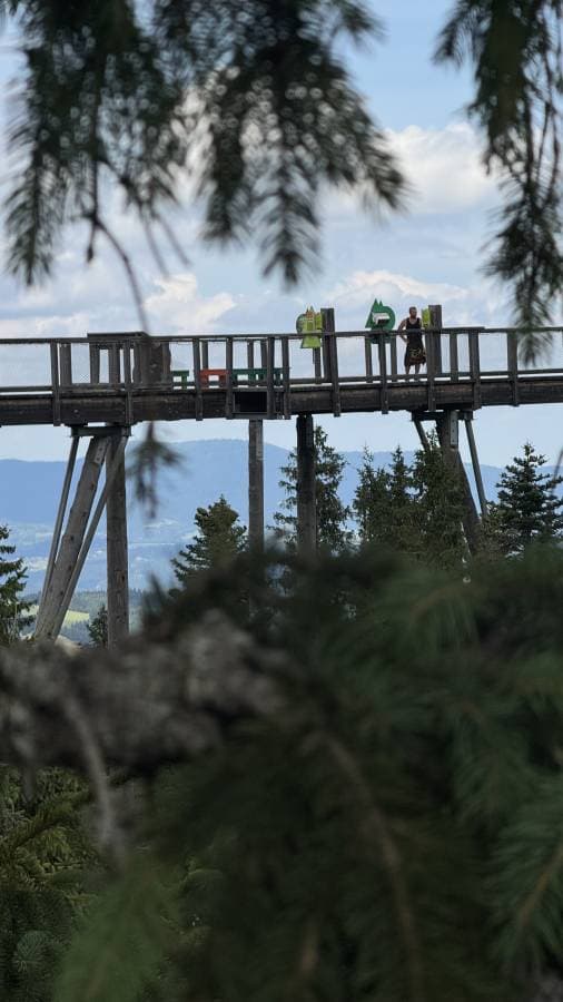 Photo by Hamza A. (8/3/25)