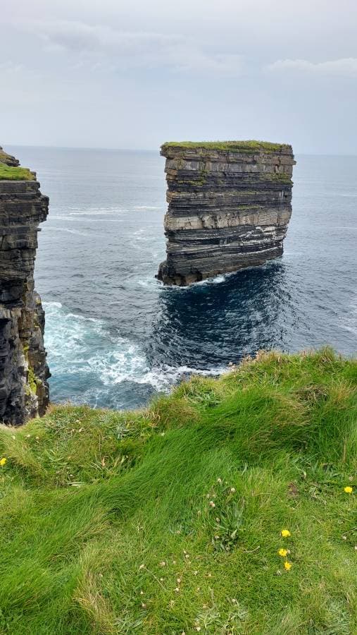 Photo by Vito R. (8/15/24)