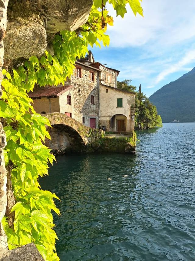 Foto 1 av Dmitry S. (25-05-03)