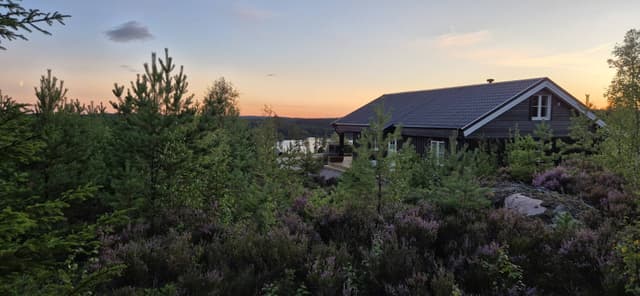 Photo 2 by Vladimir S. (8/19/24)