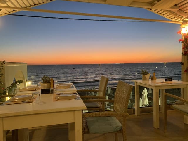 Photo 2 by PETER B. (9/28/25)