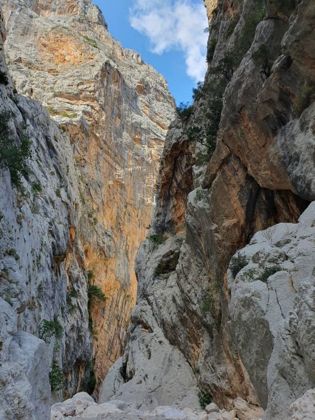 Photo 5 by Quelly S. (9/20/23)