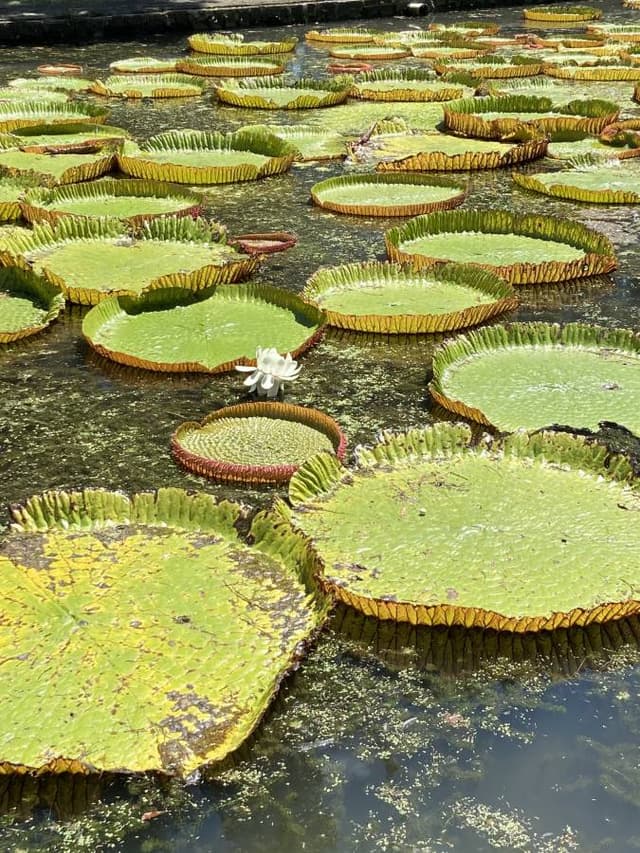 Photo 3 par LUDOVIC MICHEL H. (17/09/23)