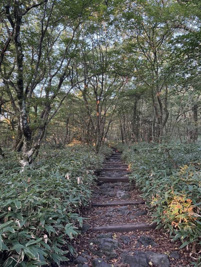 Photo 1 by Phoebe T. (9/10/24)