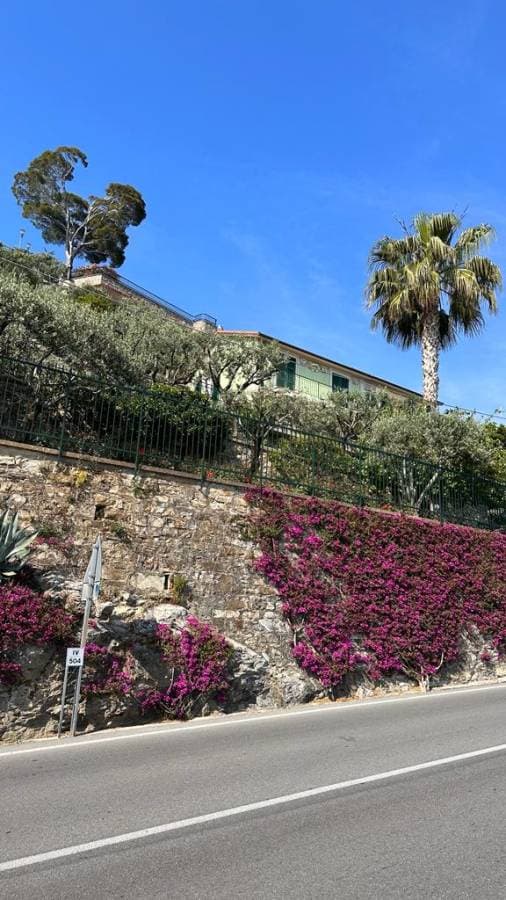 Photo 2 by Selami Ahmet S. (5/9/23)