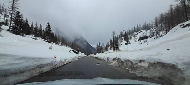 Photo 11 by Kevin B. (3/13/26)