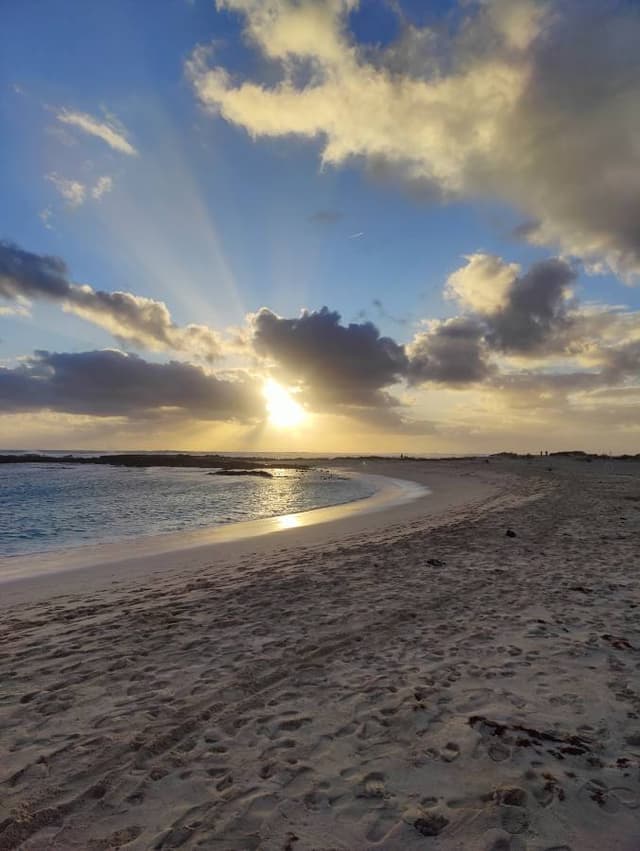 Photo 2 by Stephen G. (3/30/24)