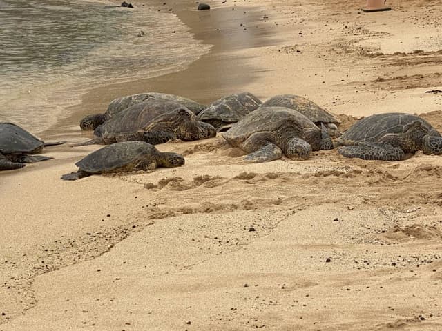 Photo 2 by Laura D. (6/2/25)