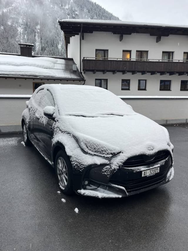 Photo by meir B. (3/15/25)