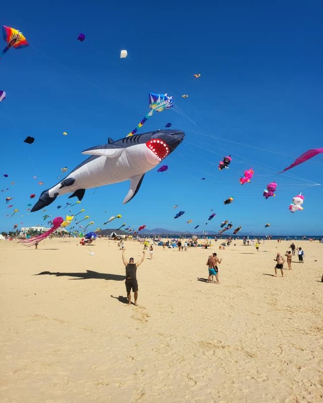 Photo 2 by Krzysztof L. (11/20/25)